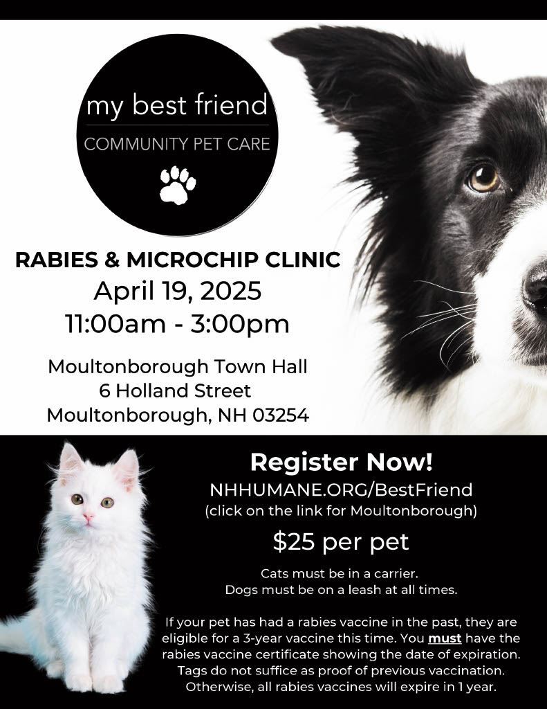 Rabies Clinic Flyer
