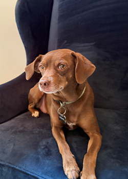 Ruby - September 2025